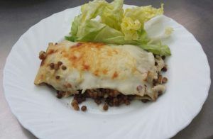 Lassanya ecològica
